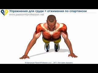 spartan push-ups